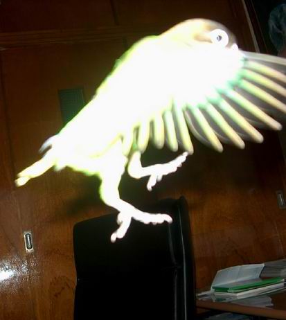 Resize of 14-01-04-20006.jpg