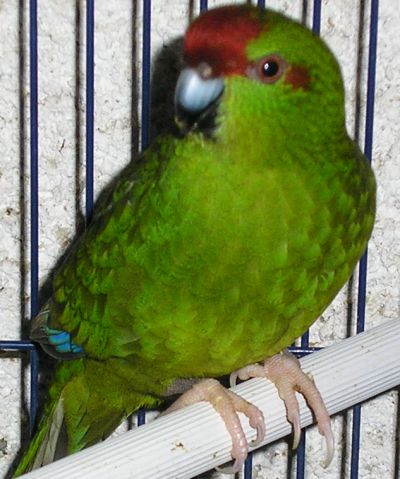 1er juillet 2005 1.jpg