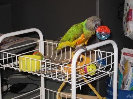 Copie de IMG_0720.jpg