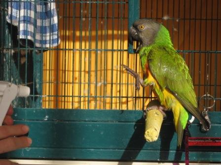 Copie de Boris 023.jpg