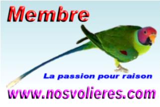 membre.JPG