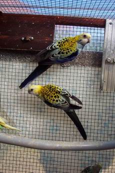 Resize of Resize of Rotation of 23-02-20020056.jpg