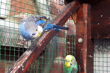 Resize of 23-02-20020062.jpg