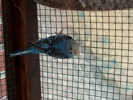 Resize of 10-10-030006.jpg