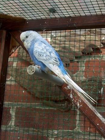 Resize of 01-08-20030031.jpg