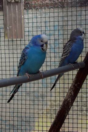 Resize of 23-02-20020064.jpg