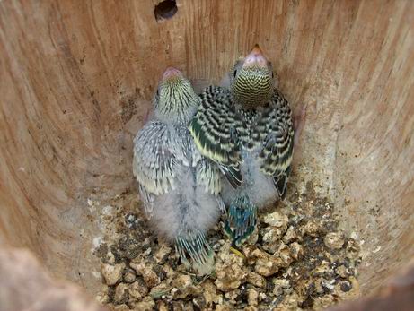 Resize of 01-09-030007.jpg