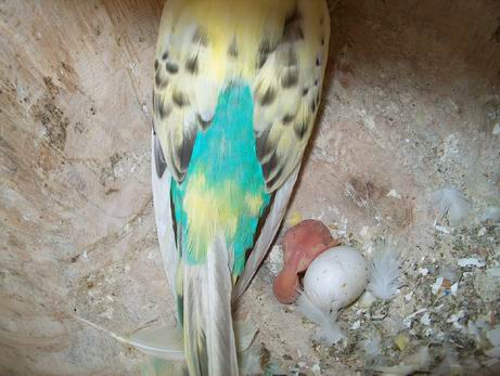 Resize of 13-08-20030017.jpg