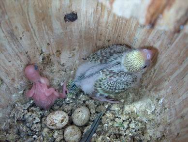 Resize of 06-06-2003-010.JPG