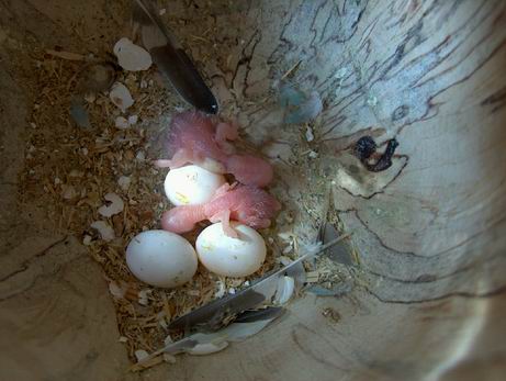 Resize of 25-08-030002.jpg