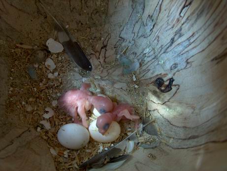 Resize of 25-08-030001.jpg