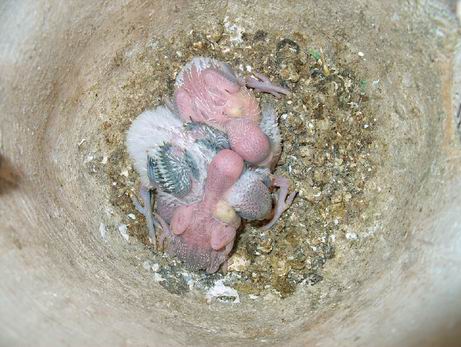 Resize of 10-10-030019.jpg