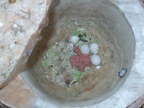 Resize of 01-08-20030028.jpg