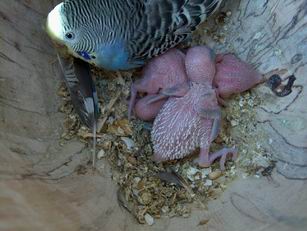 Resize of 01-09-030004.jpg