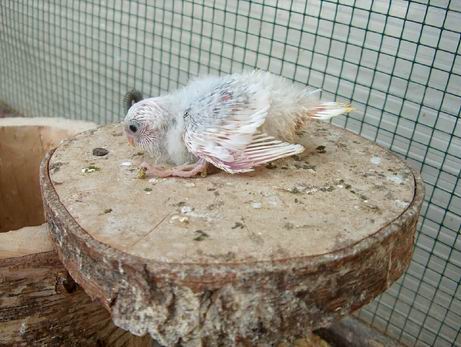 Resize of 13-08-20030014.jpg