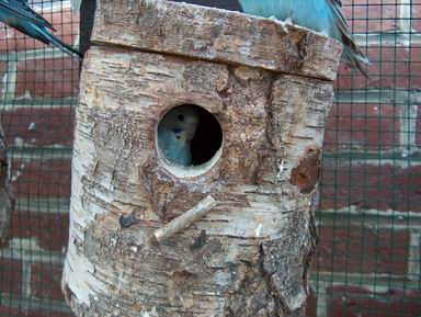 Resize of 06-07-20030031.jpg