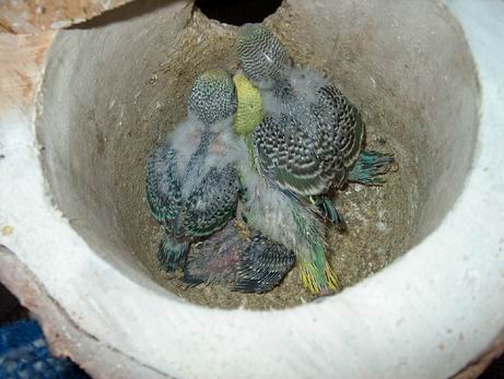 Resize of 18-10-030036.jpg