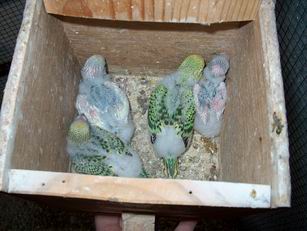 Resize of 18-10-030034.jpg