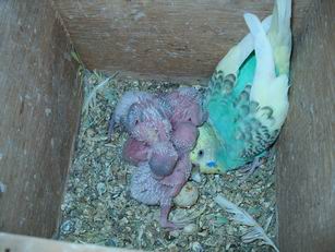 Resize of 10-10-030018.jpg