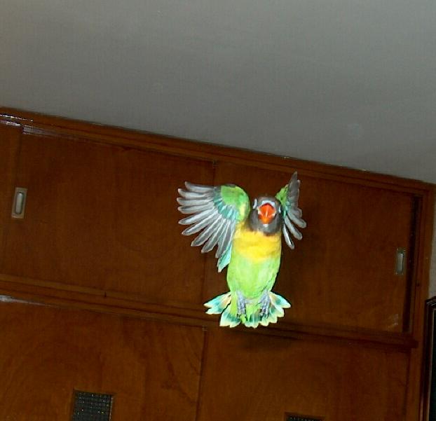 16-01-04-30015 bis.jpg