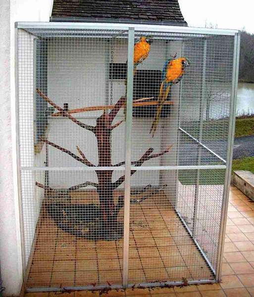 voliere.jpg
