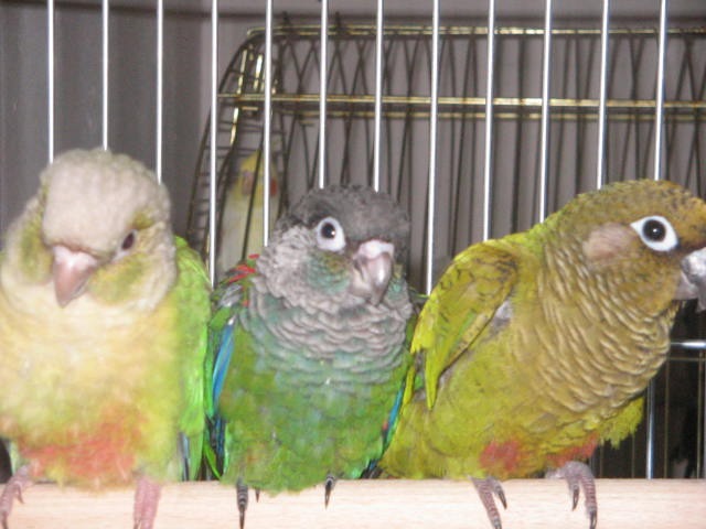 photo de famille.jpg