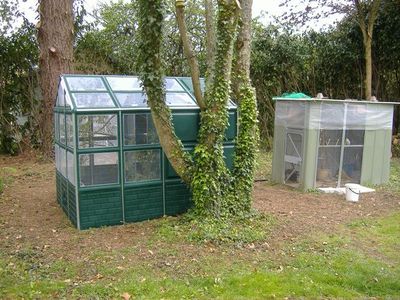 PHOTOSAVRIL voliÃ¨re2modif3.jpg