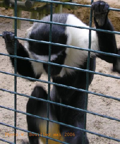 Rotation deP1010512.jpg