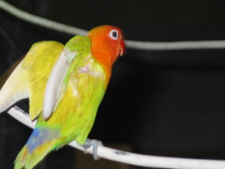 photos aga dom 004.jpg