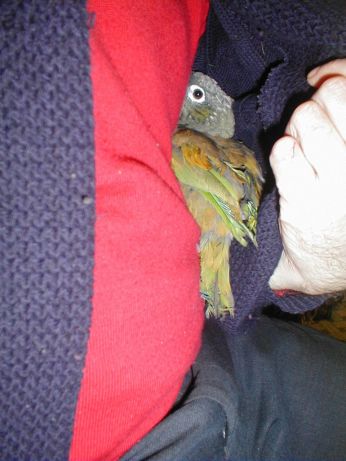 BaptisÃ© BILOU r.jpg