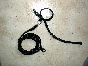 Harnais de swisy.JPG