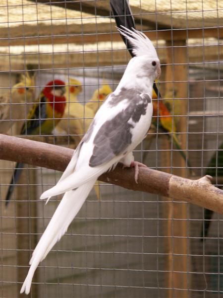 PICT0078 (Medium).JPG