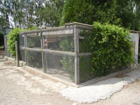 VoliÃ©re Parc 1.JPG