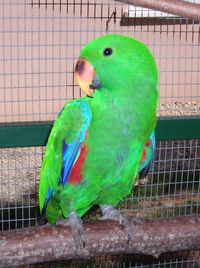 Photomariebobo2006 029.jpg