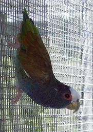 Photomariebobo2006 017.jpg