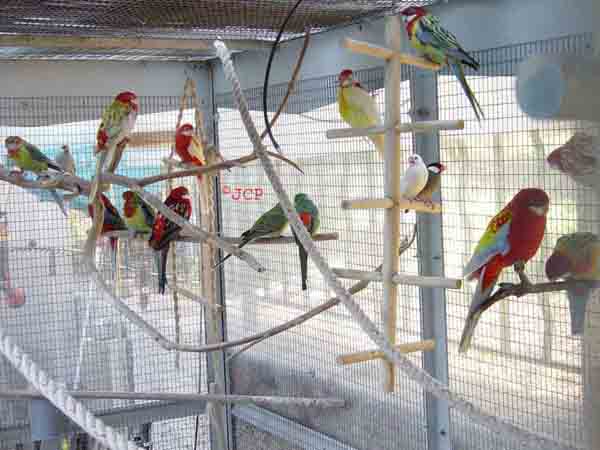 Omnis 2006-02-01 021.jpg