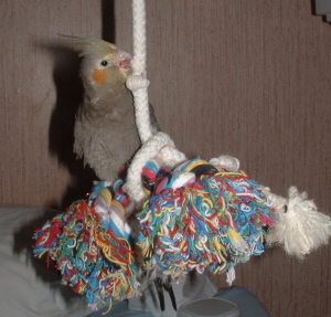 la veille du depart chez c nouveau patron1.JPG