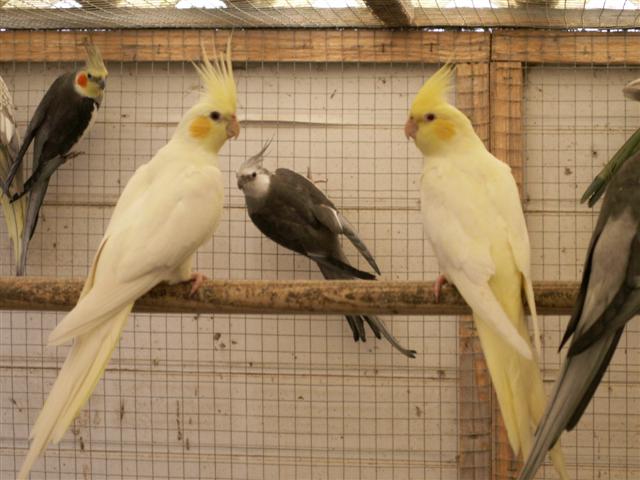 PICT0365 (Small).JPG