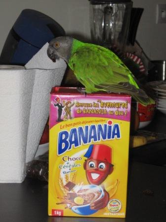 Copie de IMG_1898.jpg