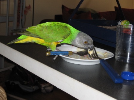 Copie de IMG_1901.jpg