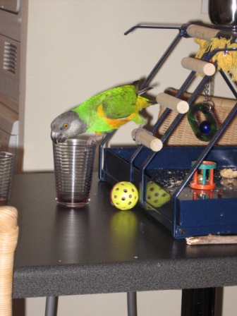 Copie de IMG_1899.jpg