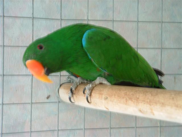 DSCF0016 (Small).JPG