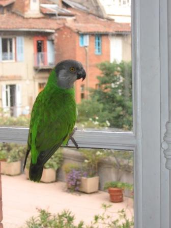 Copie de IMG_1905.jpg