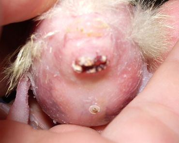 2006-08-26 18-13-42_0001 bis.jpg