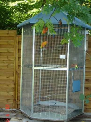 2006 Conures Soleil.jpg