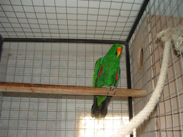 DSCF0011 (Small).JPG