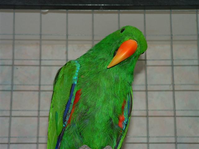 DSCF0013 (Small).JPG