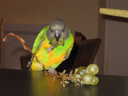 Copie de IMG_1932.jpg