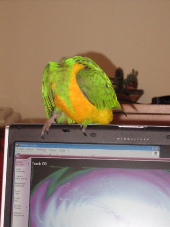 Copie de IMG_1929.jpg