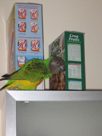 Copie de IMG_1922.jpg